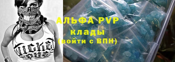 прущие крисы Магас