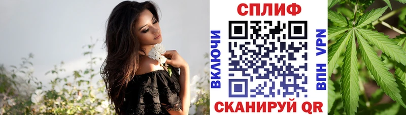 Конопля MAZAR  мориарти состав  Бокситогорск 